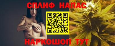 МДПВ Пенза