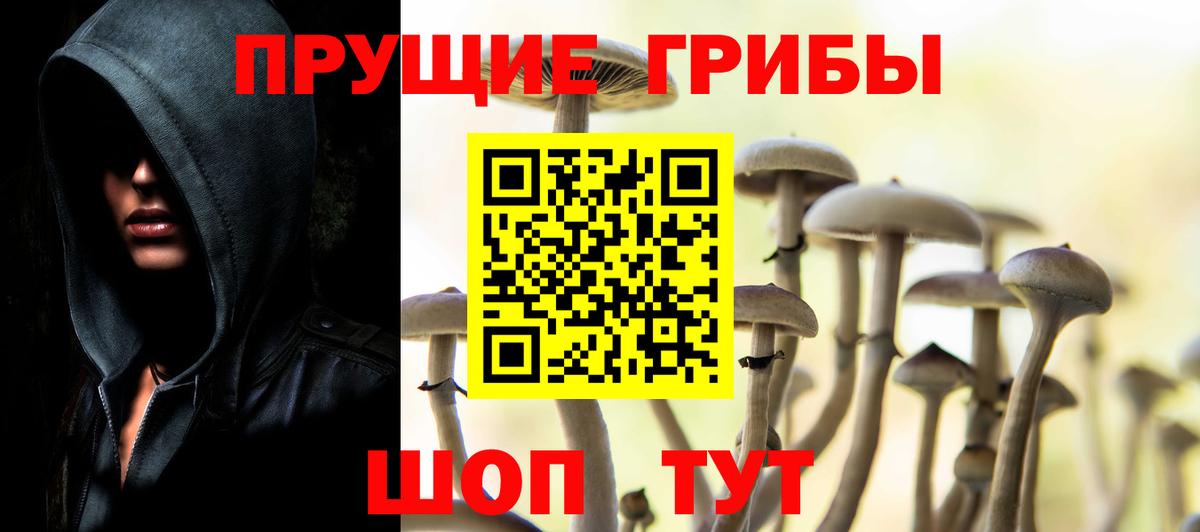 Псилоцибиновые грибы мухоморы Сочи
